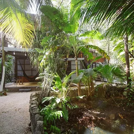 Tunich Jungle