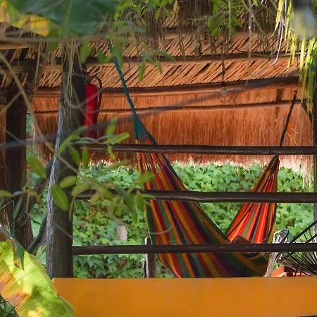 Tunich Jungle Capsule hotel