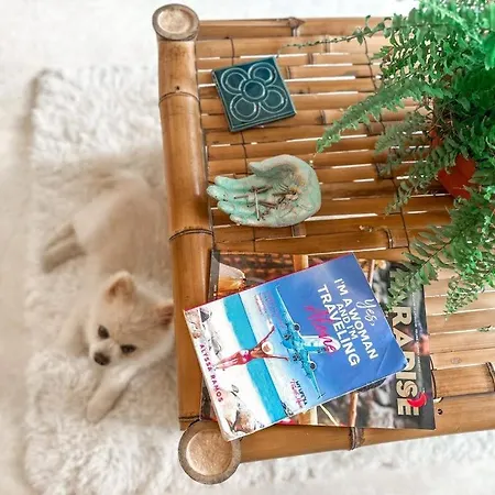 Apartment Rama Traveler's Oasis *