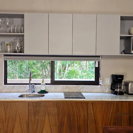Selva Oasis Retreat *