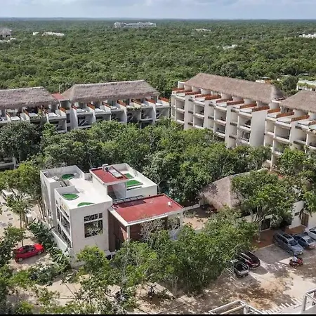 Naia