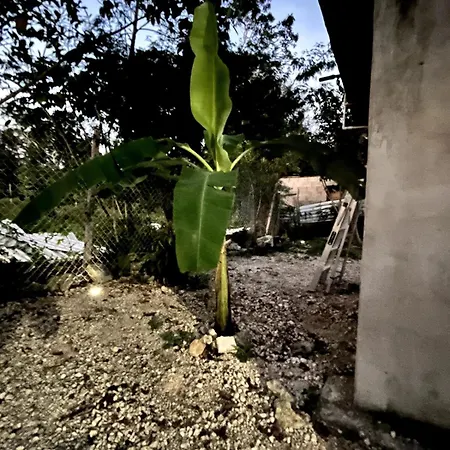 Linda Casa Privada En La Naturaleza De Tulum!!!
