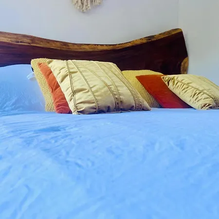 Exclusive Building Infinity Pool And Gym Restaurants And Bar District Nearby Tulum