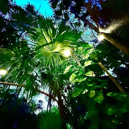 Bed & Breakfast Kck Tulum