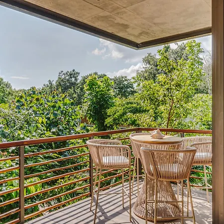 Classy 1br On Private Cenote Big Gym Roof Pool