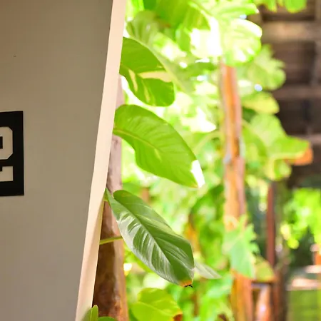Casa Teka - Boutique & Cenote 4* Tulum