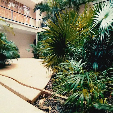 Wamai * Tulum