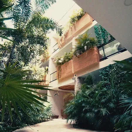 Wamai Tulum