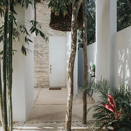 G , With Palapa In Villa