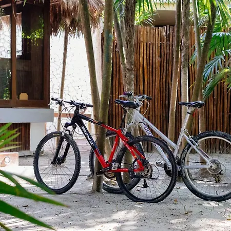 Casa Xik'nal - Luxury Front Villa Punta Allen