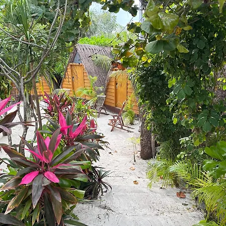 Hotel Mia Tulum