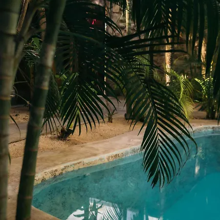 Villa Privada 8
