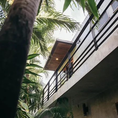 Privada 8