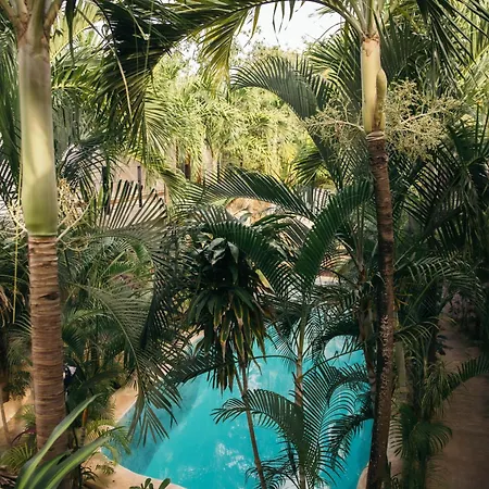 Privada 8 *