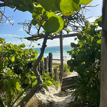 Apartment Cozy Oasis In Tulum! *