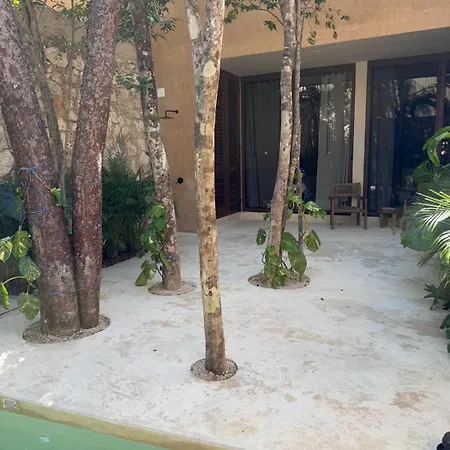 Cozy Oasis In Tulum! Apartment *