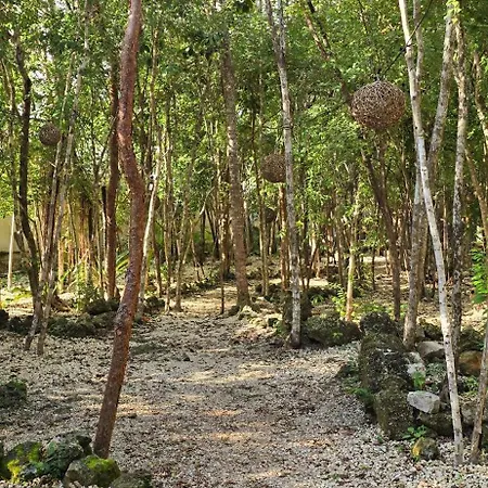 Guest house Kin Ii Tulum