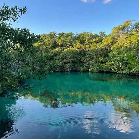 Tankah Bay Jungle With Sea Access 2 Bdr * Tulum