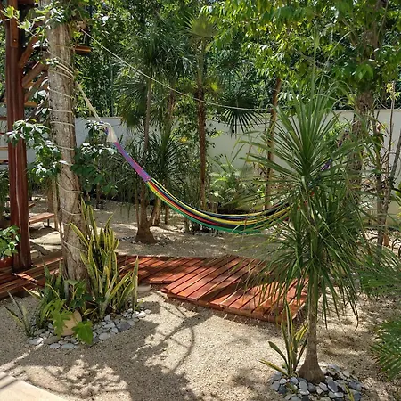 Tucanes 5 Bdr 10 Ppl Villa Tulum