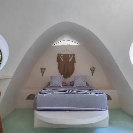 Unique Jungle Dome 2 Queen Beds