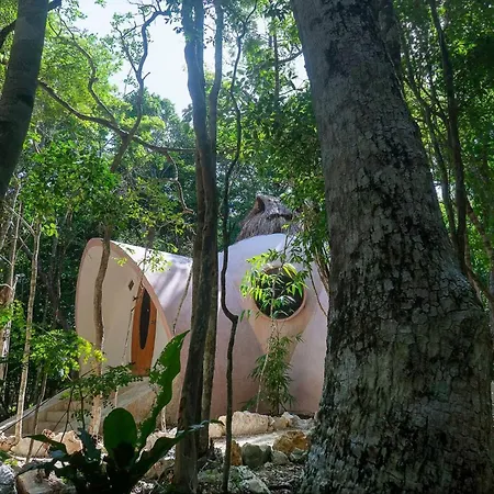 Unique Jungle Dome 2 Queen Beds Lodge Tulum