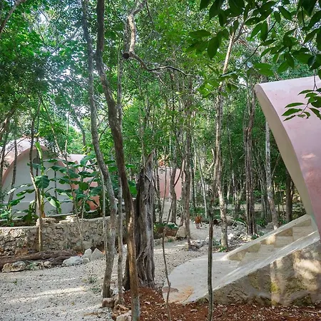 Unique Jungle Dome 2 Queen Beds