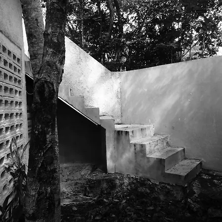 Guest house Barefoot Jungle 4*