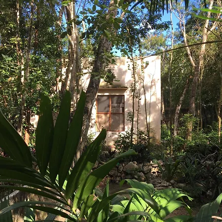 Guest house Barefoot Jungle