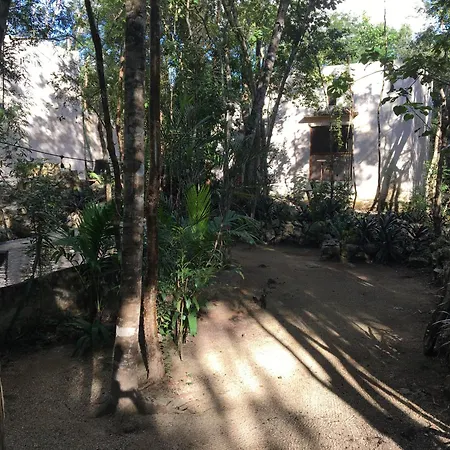 Barefoot Jungle 4*