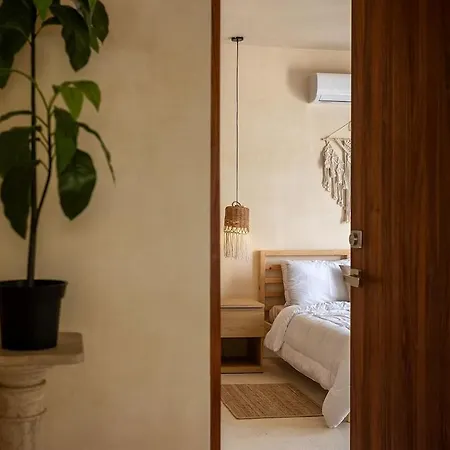 Lujoso Departamento Con Amenidades En Nim Selva Norte Tulum