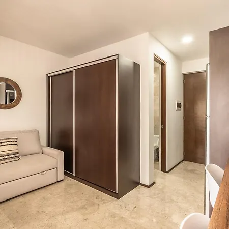 Apartment Estudio Lujoso, Downtown, Close To Restaurants