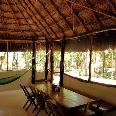 Unique Jungle Dome Ik