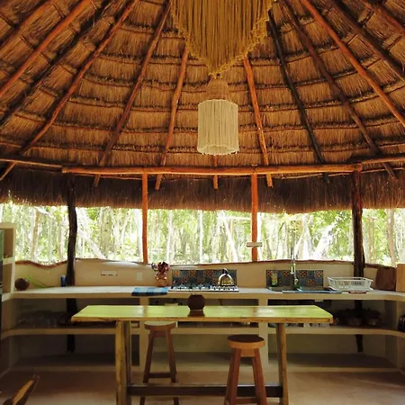 Unique Jungle Dome Ik Lodge