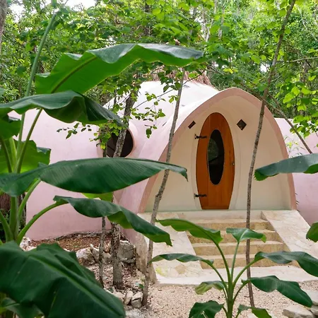 Unique Jungle Dome 2 Queen Beds Lodge Tulum