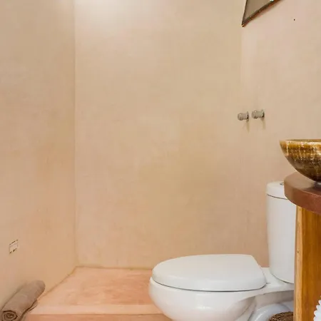 Unique Jungle Dome Ik