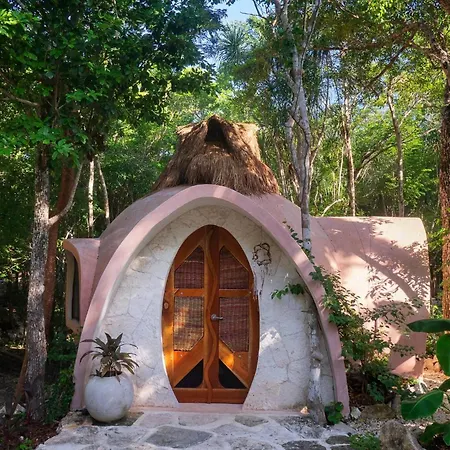 Unique Jungle Dome Ik