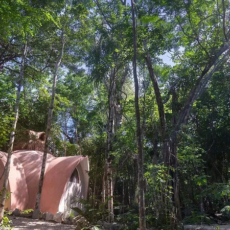 Unique Jungle Dome Ik Lodge *
