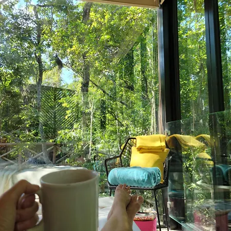 Jungle Treehouse Tulum