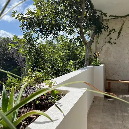 Apartment 2 Bedrooms 10 Minutes To The *