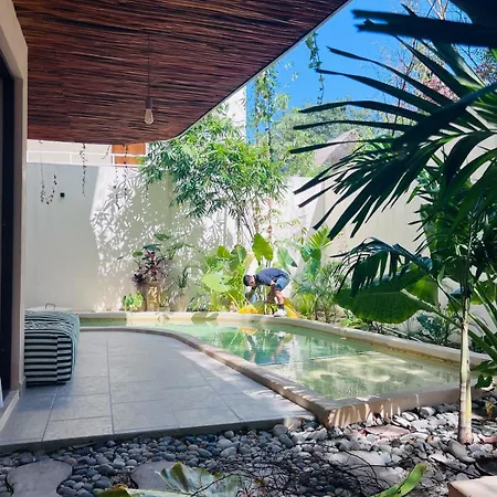 Charming Boutique Jungle Views Private Pool Apartment