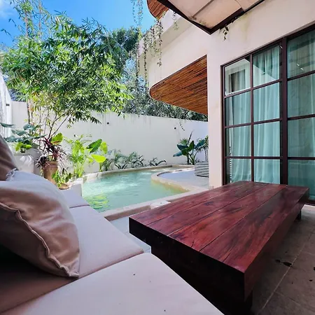 Charming Boutique Jungle Views Private Pool