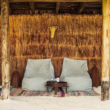 Amana , Front * Tulum