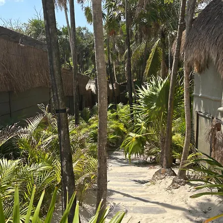 Amana , Front Hotel