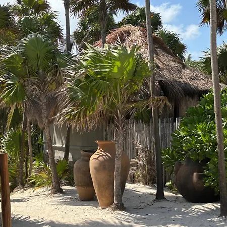 Hotel Amana , Front *