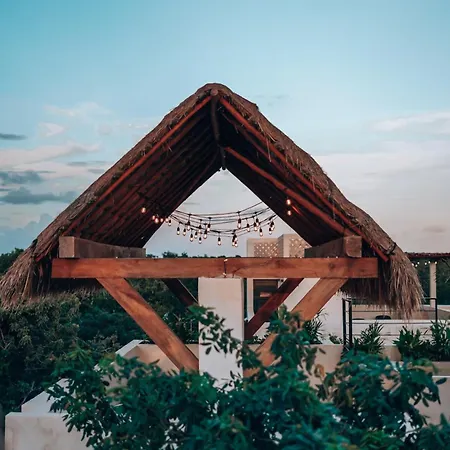 Apartamento Homa