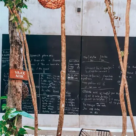 Homa Tulum