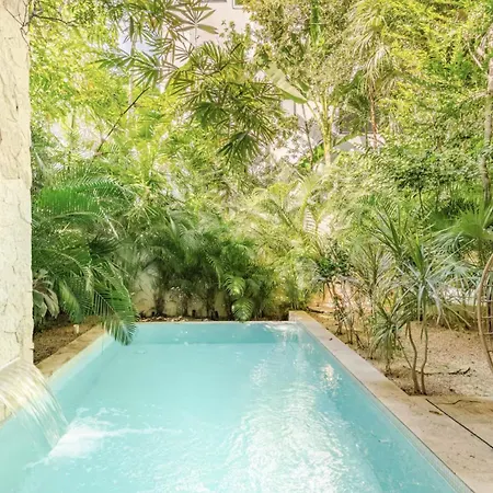 Sam Chak: Exclusive Retreat With Private Pool And Concierge Tulum