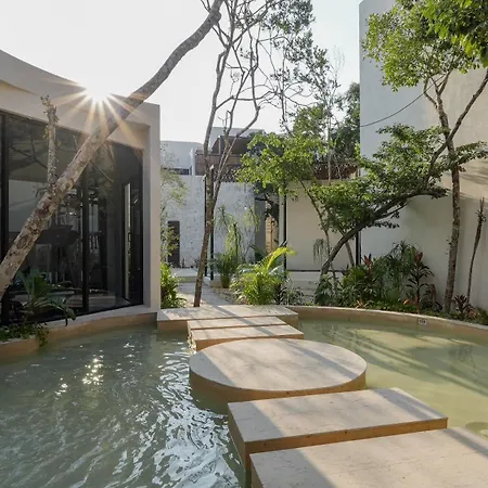 Divine House With Private Roof And Pool Only 1km From The * Tulum