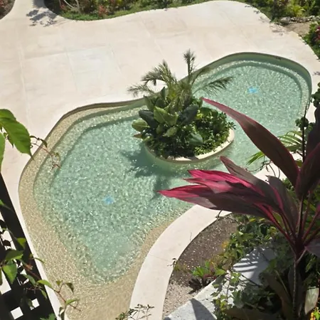 Mystics Gardens 2 Zen Apartment