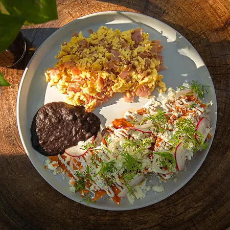 The Yellow Nest 5* Tulum